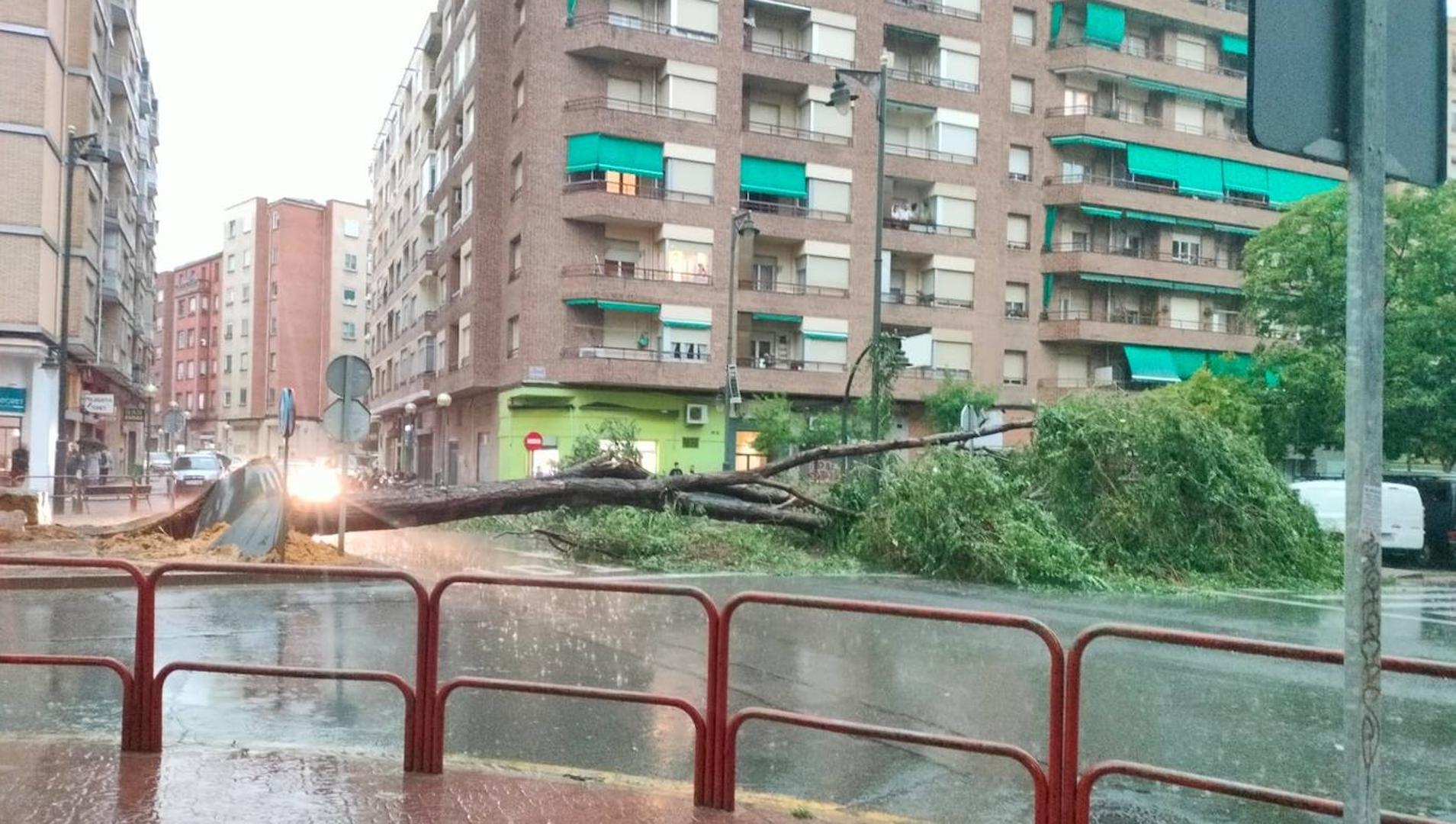 Varios Rboles Derribados Y Cuatro Personas Trasladadas Al Hospital Por